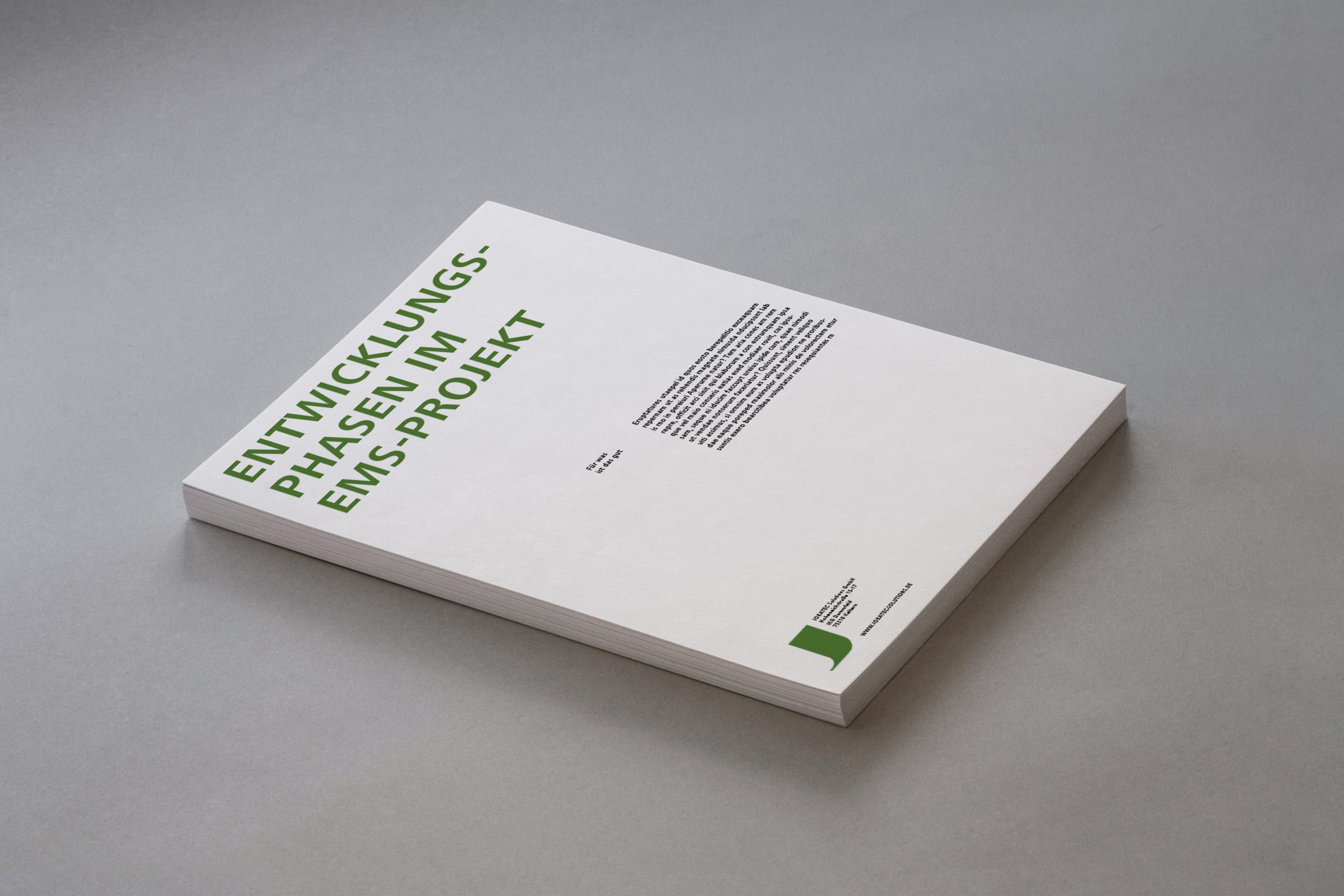 Entwicklungsprozesse eines EMS-Pojekts